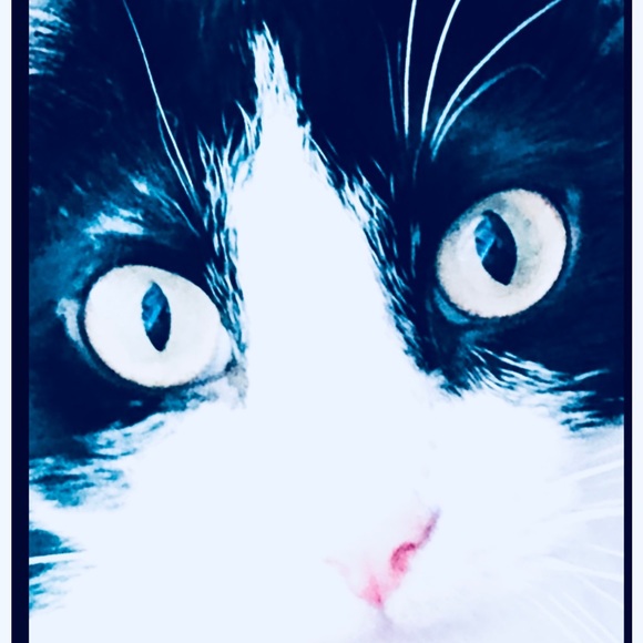 Meet your Posher, Dawn - Picture 13 of 16